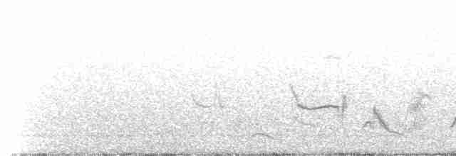Кактусовый пересмешник - ML428730351