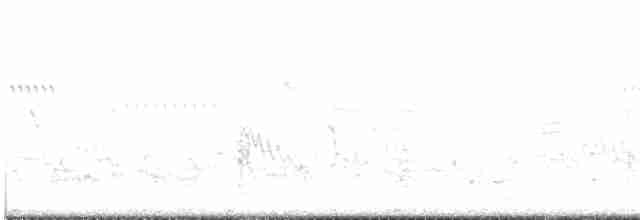 Spotless Crake - ML428747011