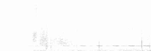 Kısa Kuyruklu Karıncaardıcı - ML428800971