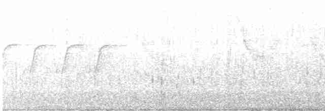 Длиннохвостый крапивник - ML428819671