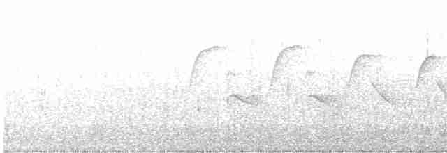 Troglodyte de Bewick - ML428819711