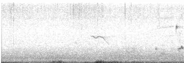 Iberian Gray Shrike - ML428872011