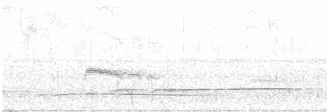 Лінивка-смугохвіст західна - ML428916001
