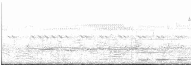 Мангровая веерохвостка - ML429119181