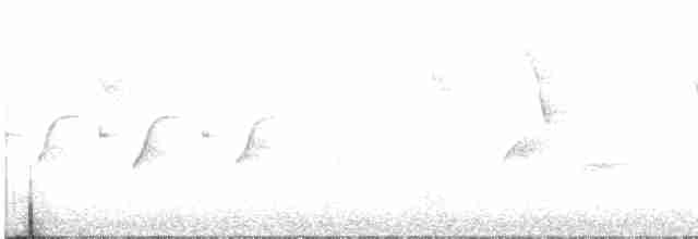 sýkora uhelníček (ssp. cypriotes) - ML429314601