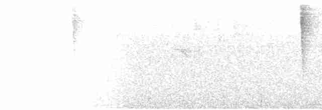 Cerulean Warbler - ML429599351