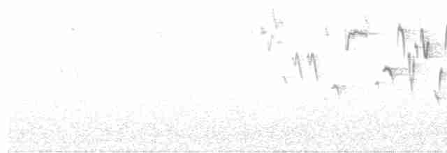 Troglodyte de Baird - ML429782581