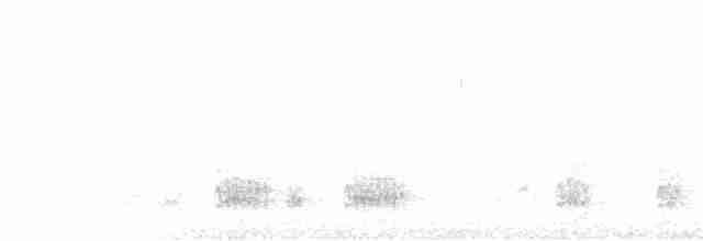 Clamorous Reed Warbler - ML429824931