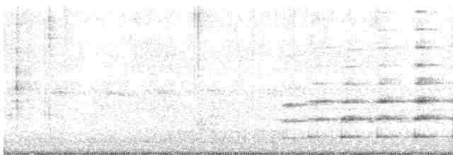 Common Gallinule - ML429859241