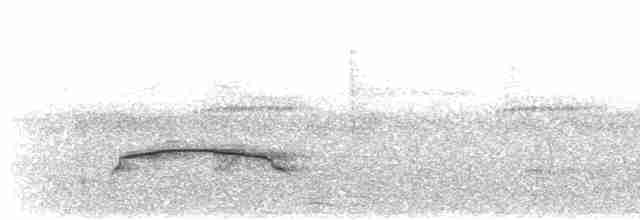 Dusky-capped Flycatcher (lawrenceii Group) - ML429935861
