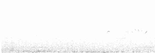 White-crowned Wheatear - ML430123021