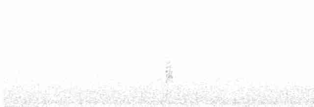 Толстоклювый пустынный вьюрок - ML430123151