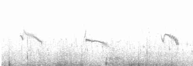 Txoriandre pispoleta mediterraneoa - ML430125411
