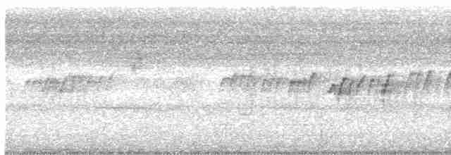Graumennigvogel - ML430163421