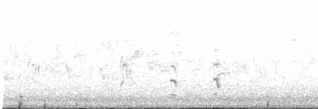 Black-tailed Godwit - ML430230421