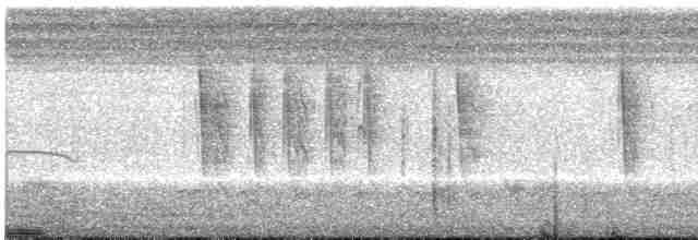 Conirostre oreillard - ML430246751
