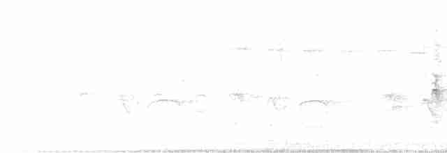 Uzun Gagalı Bitkuşu [rufiventris grubu] - ML430349331