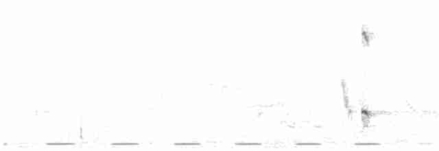 vousáček bělohlavý - ML430367211