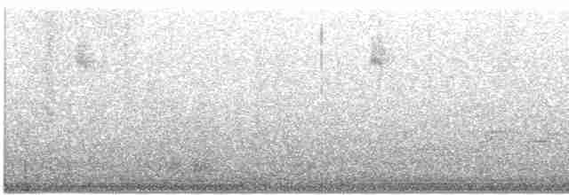 Дрізд-короткодзьоб Cвенсона - ML430413401