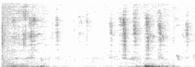 Трав’янка чорноголова - ML430420041