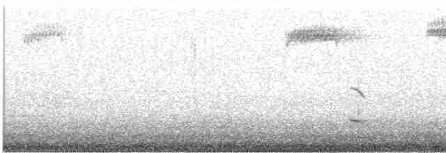 Fischadler (carolinensis) - ML430479221