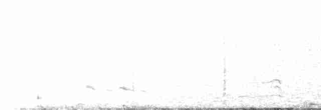 Gallo de las Artemisas Grande - ML430569751