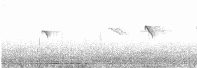 Common Kingfisher - ML430692921