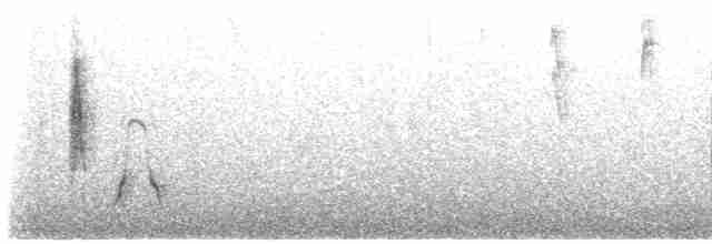 Морщинистоклювая ани - ML430739801