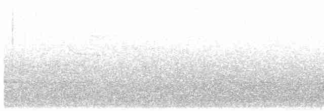Трясогузковый певун - ML430852841