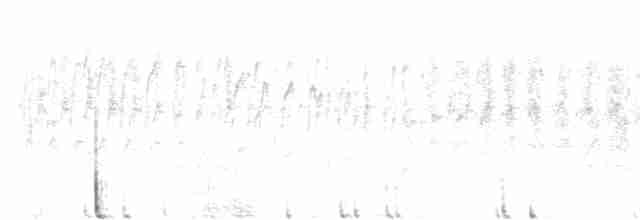 rorýs bělohrdlý - ML430858161