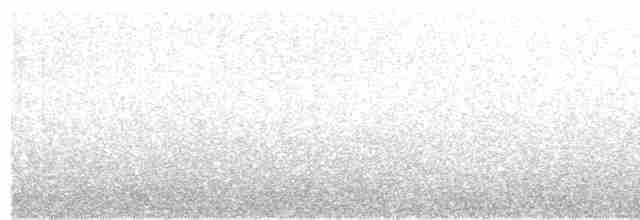 Uzun Gagalı Ardıç - ML431005641