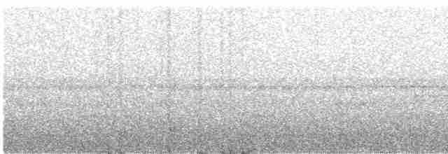 White-tailed Nightjar - ML431188601