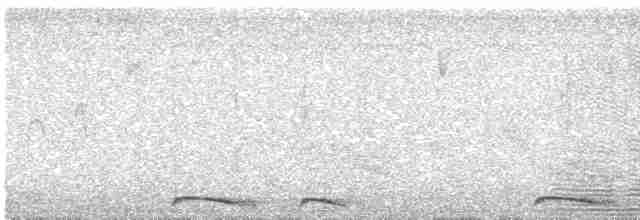 Инкская земляная горлица - ML431279791