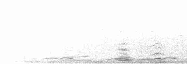Лебідь чорнодзьобий - ML431307381
