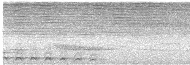Lattice-tailed Trogon - ML431350941