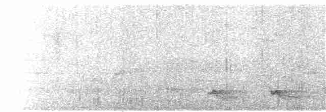 Weißkehlwachtel - ML43135201