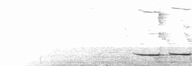 Gözlüklü Yerçavuşu - ML431362121