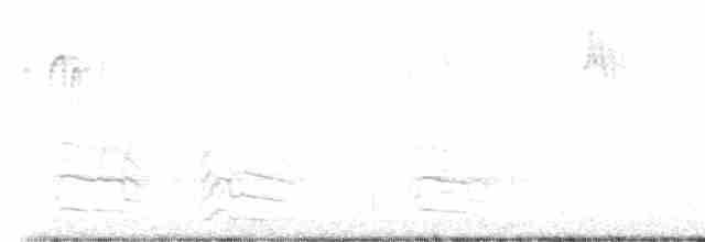 Красноплечий канюк - ML431396311