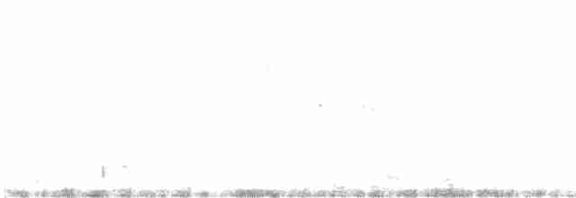 holub hřivnáč - ML431423421