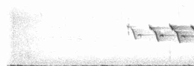 Yellow-throated Warbler - ML431481261