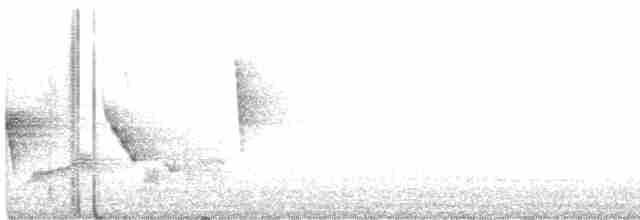 White-eyed Vireo - ML431519871