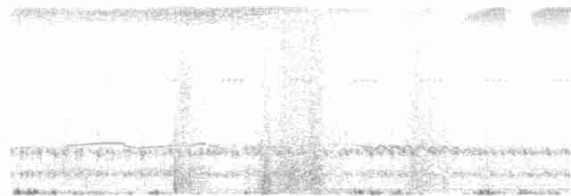 Дрімлюга гірський (підвид poliocephalus) - ML43152721