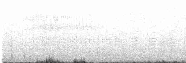 Spotless Starling - ML431679781