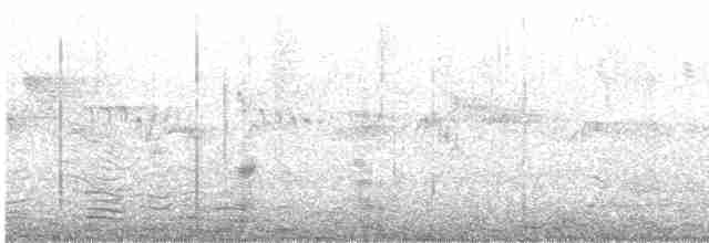 ニシヒメアマツバメ - ML431848261