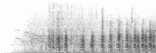 Chatter Duet