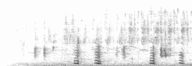 Chatter Duet
