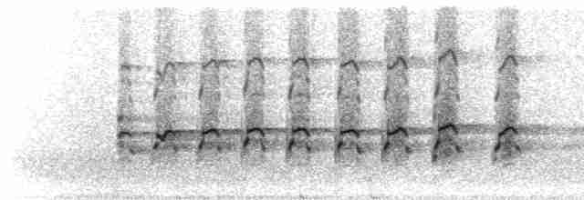 Klee Series
