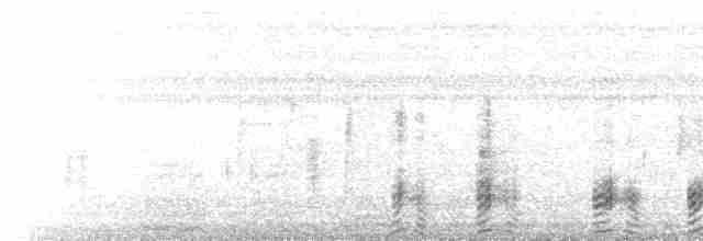  - Gray-headed Swamphen