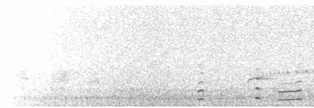 Long Call (nasal & croaking)