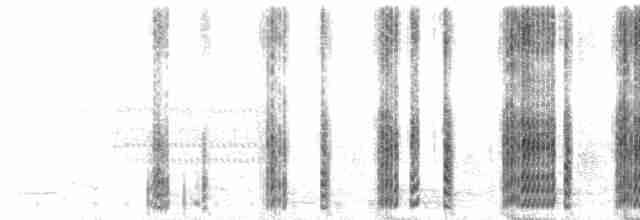 Long Call (nasal & croaking)